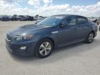 2015 KIA OPTIMA HYB - KNAGM4AD3F5077787