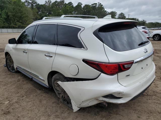 VIN 5N1DL0MM3KC525699 2019 Infiniti QX60, Luxe no.2