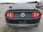 FORD MUSTANG photo