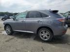 LEXUS RX 350 photo