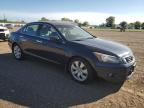 HONDA ACCORD EXL photo