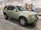 FORD ESCAPE HEV photo