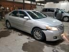 TOYOTA CAMRY BASE photo