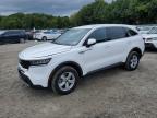 2023 KIA SORENTO LX - 5XYRGDLC4PG210685
