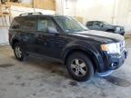 FORD ESCAPE XLT photo