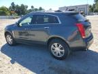 CADILLAC SRX LUXURY photo