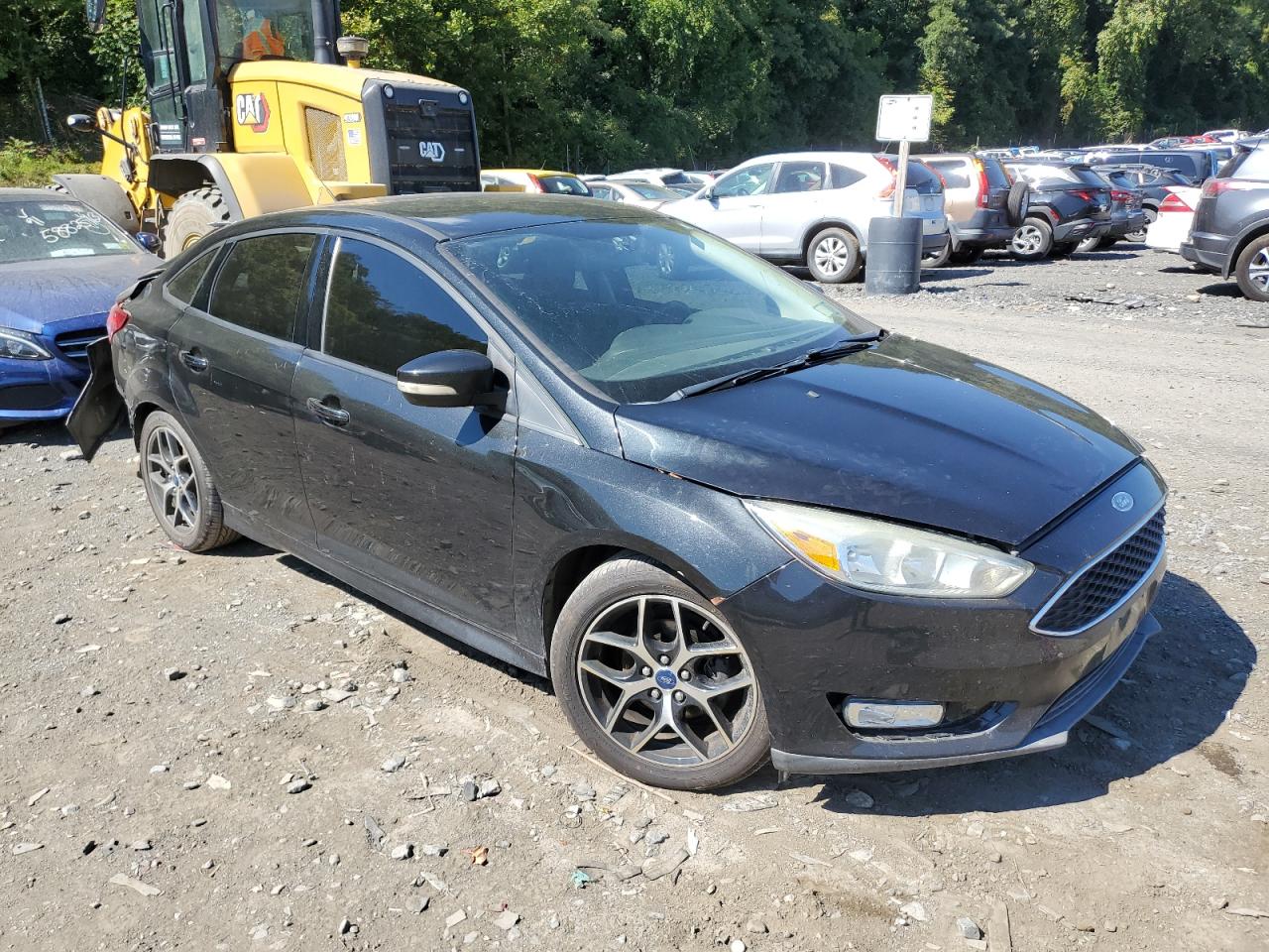 Lot #3033234814 2015 FORD FOCUS SE