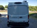 FORD TRANSIT T- photo