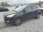 FORD ESCAPE SEL photo