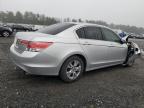 HONDA ACCORD SE photo