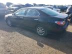 LEXUS ES 330 photo