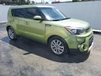 KIA SOUL + photo