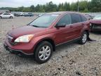 HONDA CR-V EX photo