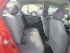 TOYOTA ECHO photo