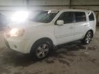 HONDA PILOT EXL photo