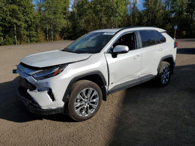 Global Auto Auctions: 2024 TOYOTA RAV4 XLE