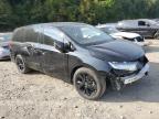 HONDA ODYSSEY SP photo