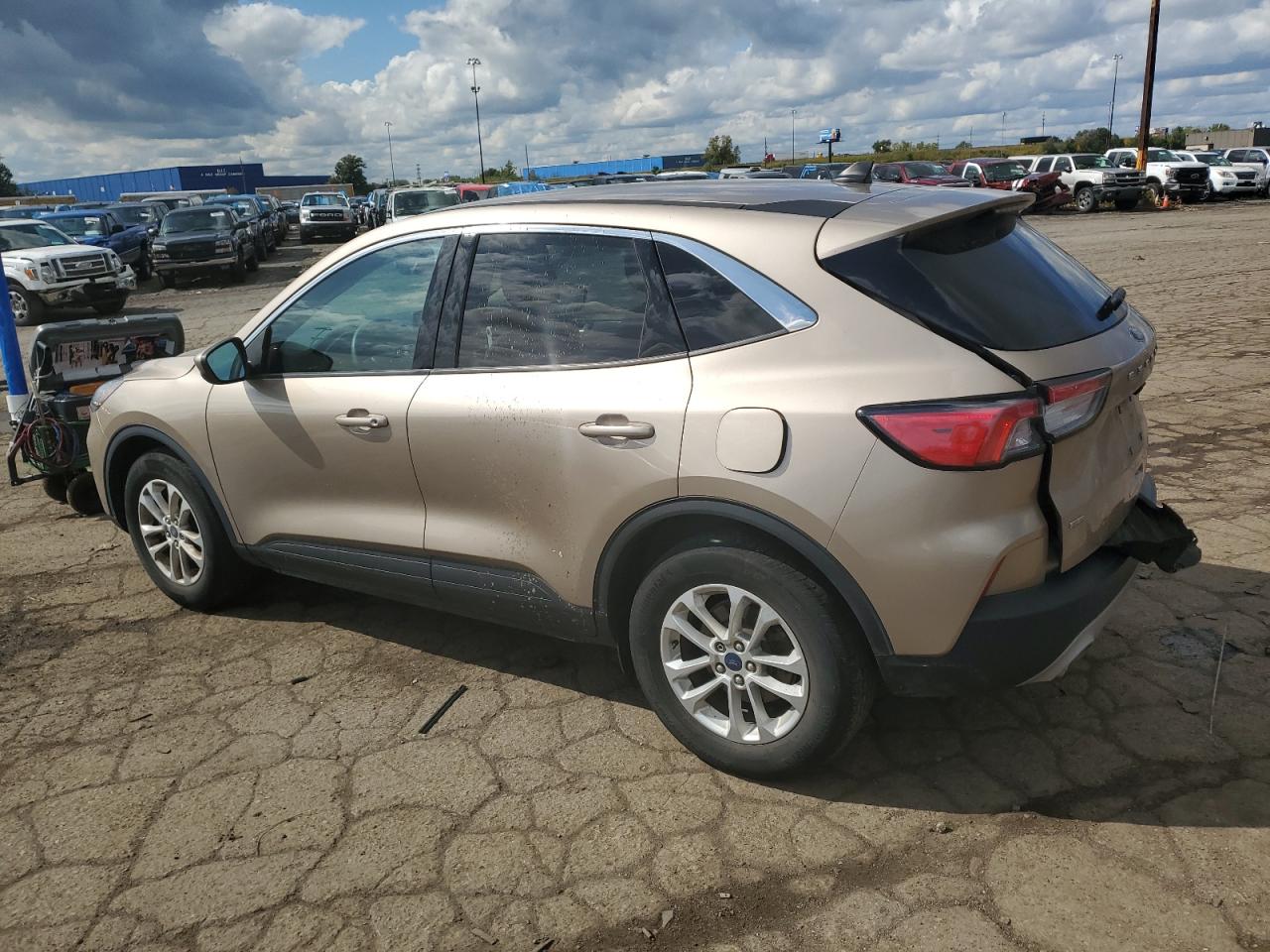 Lot #2942939303 2020 FORD ESCAPE SE