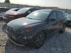 2024 HYUNDAI TUCSON N L - KM8JFCD12RU176041