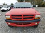 DODGE DAKOTA photo