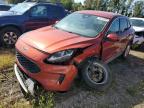 FORD ESCAPE SE снимка