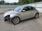 VOLKSWAGEN BEETLE photo