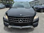 MERCEDES-BENZ ML 350 photo