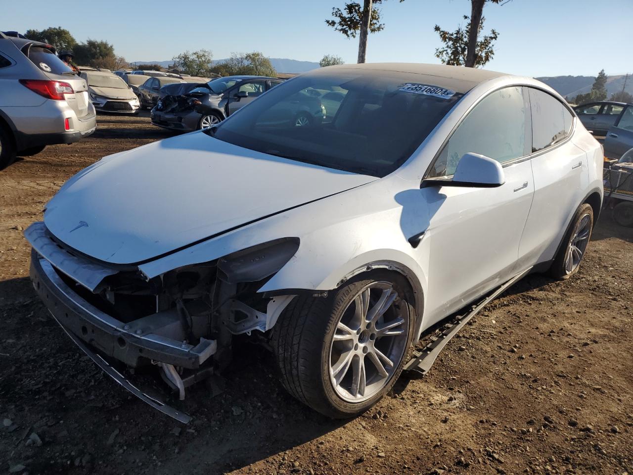 Tesla Model Y 2023 