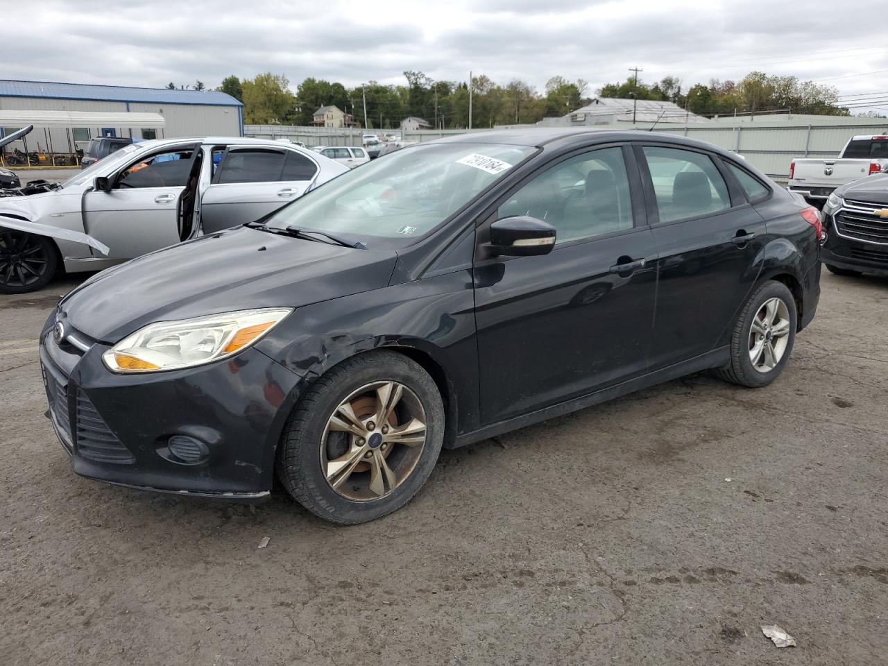 Lot #3023332236 2014 FORD FOCUS SE