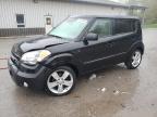 KIA SOUL + photo