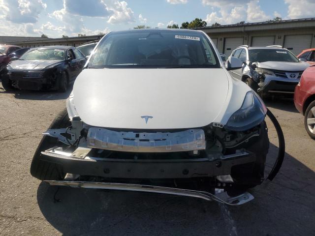 2023 TESLA MODEL Y - 7SAYGDEEXPF810843