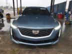 CADILLAC CT5 PREMIU photo