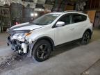 TOYOTA RAV4 XLE photo