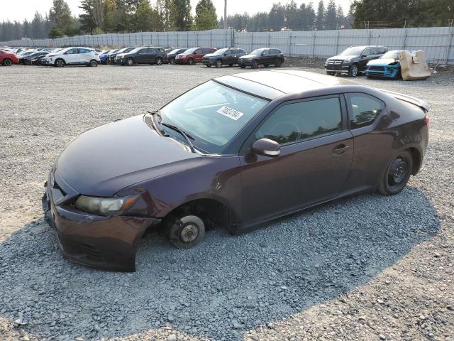 TOYOTA SCION TC 2011 burgundy  gas JTKJF5C73B3016146 photo #1