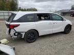 HONDA ODYSSEY SP photo