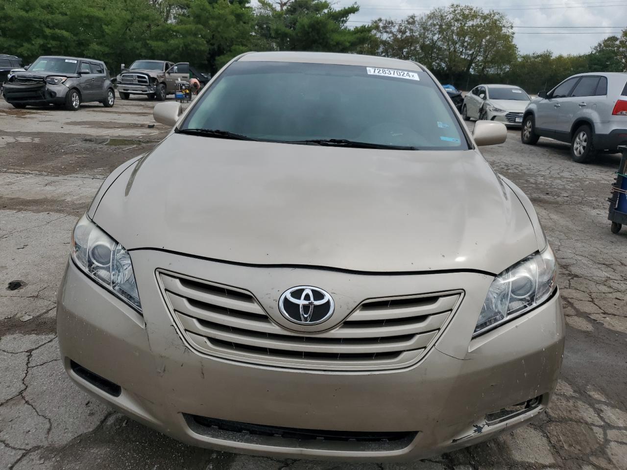 Lot #2876805337 2009 TOYOTA CAMRY BASE