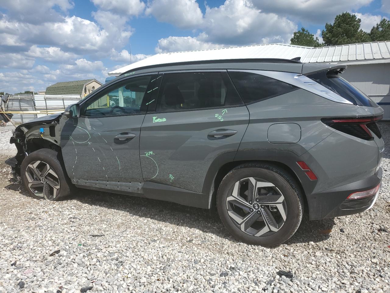 Lot #3024683694 2024 HYUNDAI TUCSON LIM