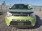 KIA SOUL + photo