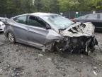 HYUNDAI ELANTRA SE photo