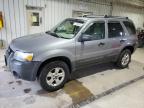 FORD ESCAPE XLT photo