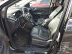 Lot #3025039194 2014 FORD ESCAPE TIT