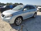 LEXUS RX 350 photo