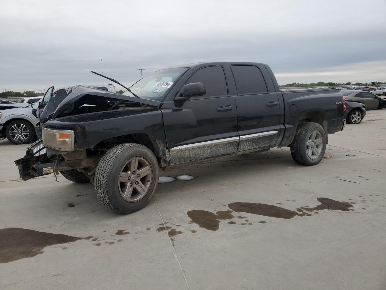 Lot #2873894089 2010 DODGE DAKOTA LAR