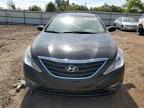 HYUNDAI SONATA GLS photo