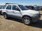 FORD ESCAPE XLS photo