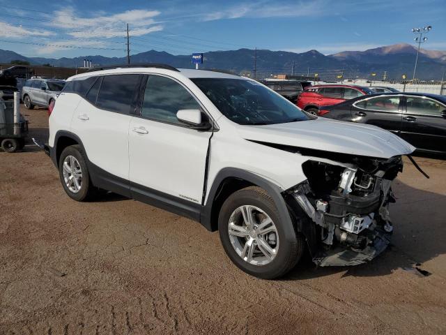 2019 GMC TERRAIN SL - 3GKALTEV1KL331293