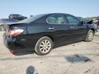 LEXUS ES 300 photo