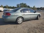 Lot #3027168273 2005 FORD TAURUS SEL