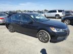 HONDA ACCORD EXL photo