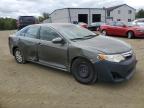 TOYOTA CAMRY L photo